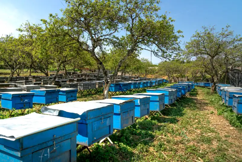 2025年生物护肤技术趋势：重组胶原蛋白的产业化应用前景