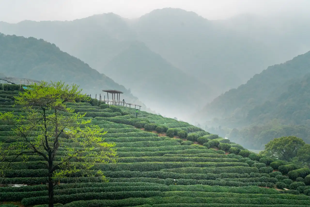 美丽云集平台生物护肤品质量管控体系构建要点