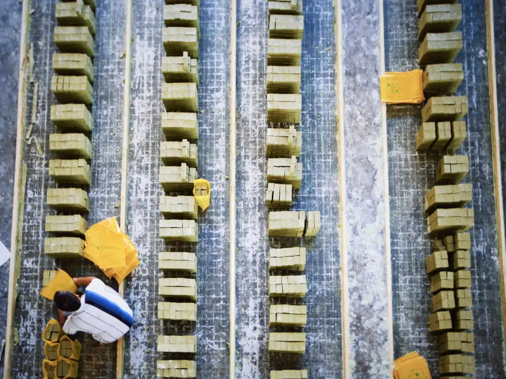 广州生物技术赋能护肤品研发的三大核心技术解析