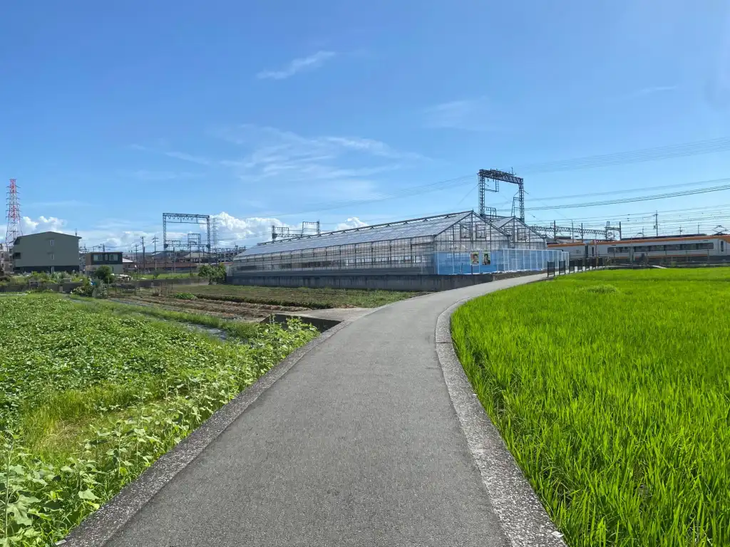 生物护肤原料筛选与安全性评估技术要点解析