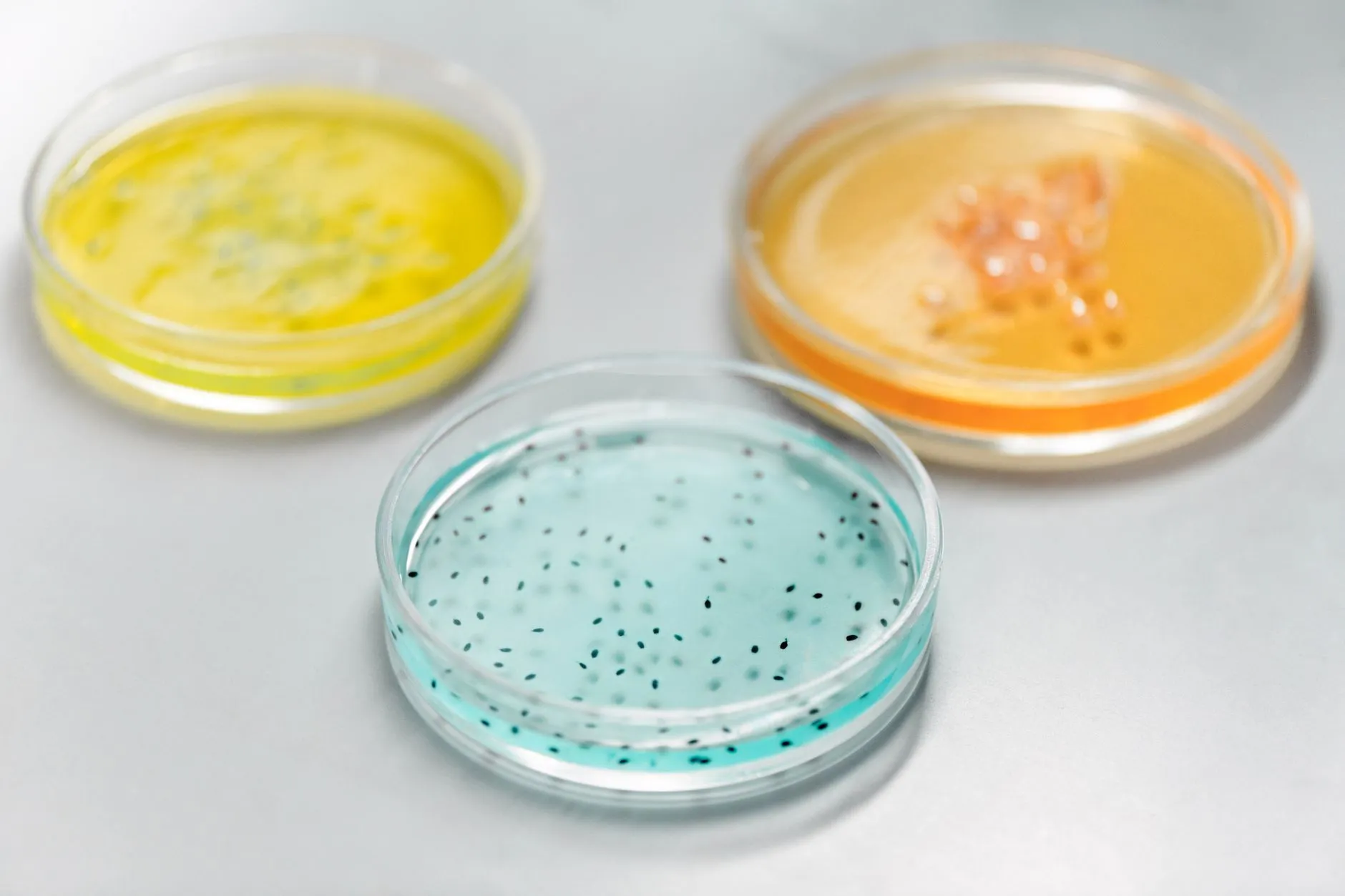 广州羽林生物护肤品研发定制流程与案例分享