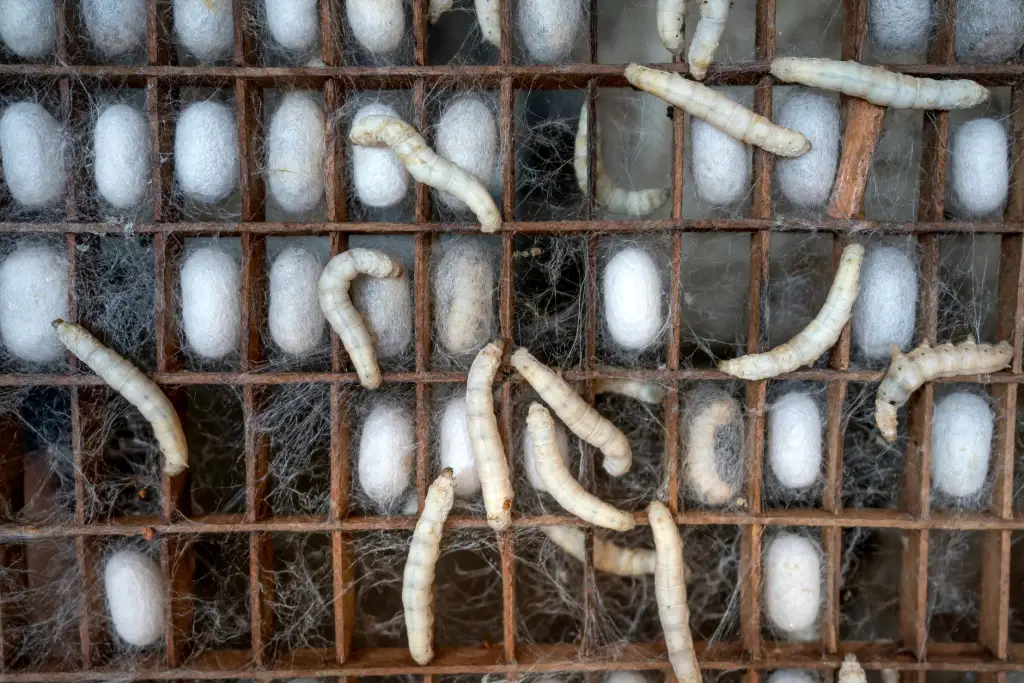 广州羽林生物技术美丽云集系列护肤品活性成分技术解析