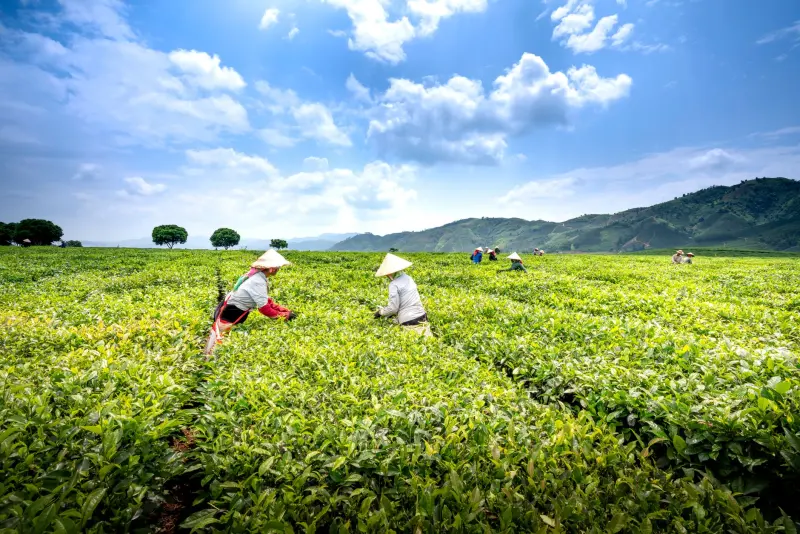 美丽云集平台护肤品原料技术优势与成分解析
