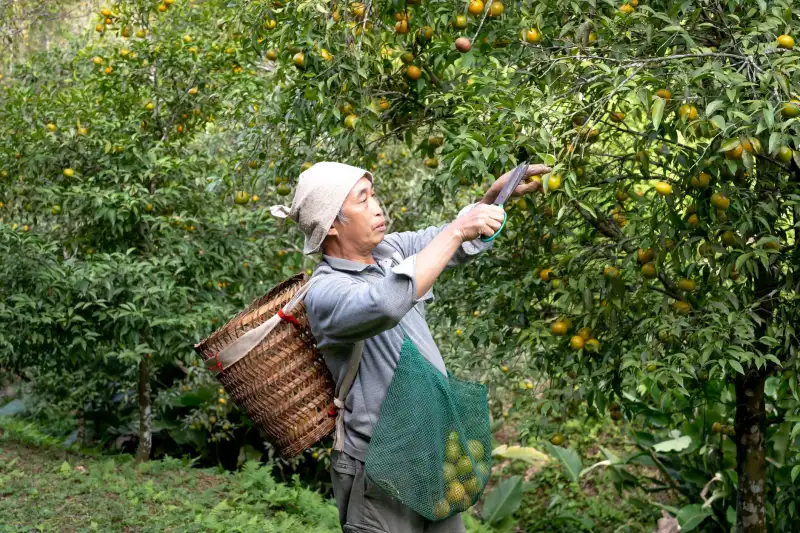 广州羽林生物技术：美丽云集平台护肤研发服务的技术路径解析