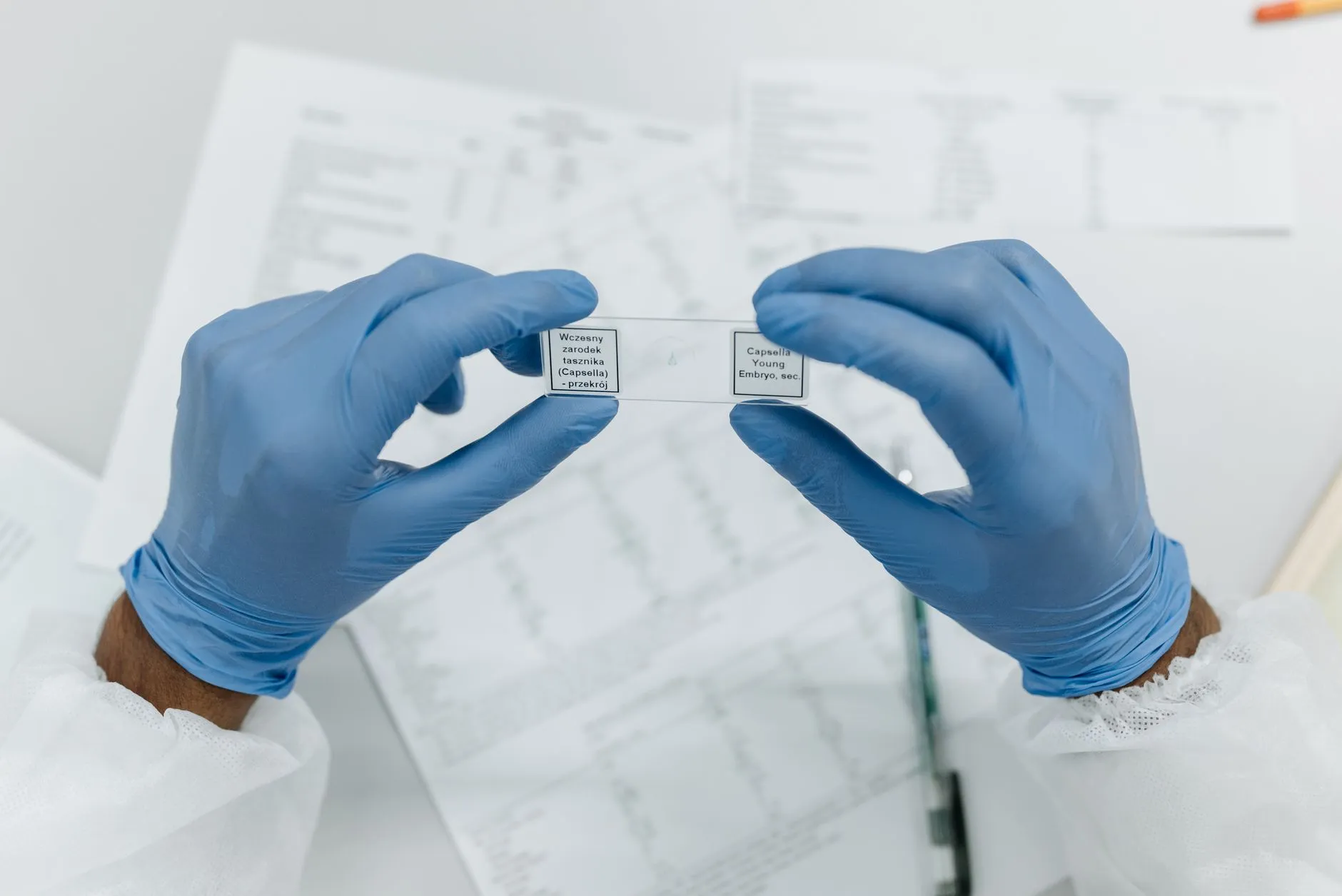 广州羽林生物技术有限公司解析：生物技术与护肤品研发的科研创新路径正文配图 1