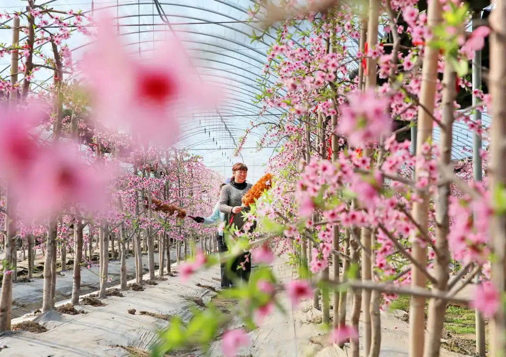 基于美丽云集平台的生物护肤产品核心成分与优势解析