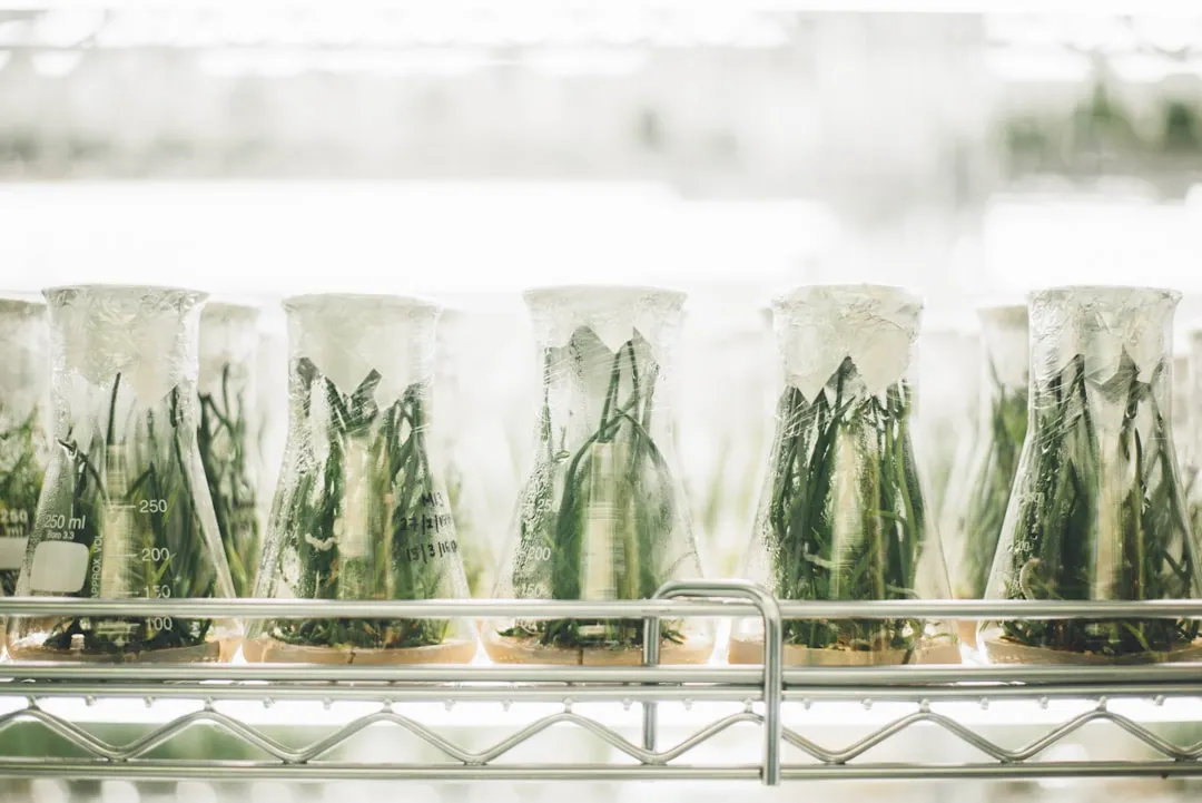 广州羽林生物技术有限公司护肤品研发服务流程与质量管控体系解析