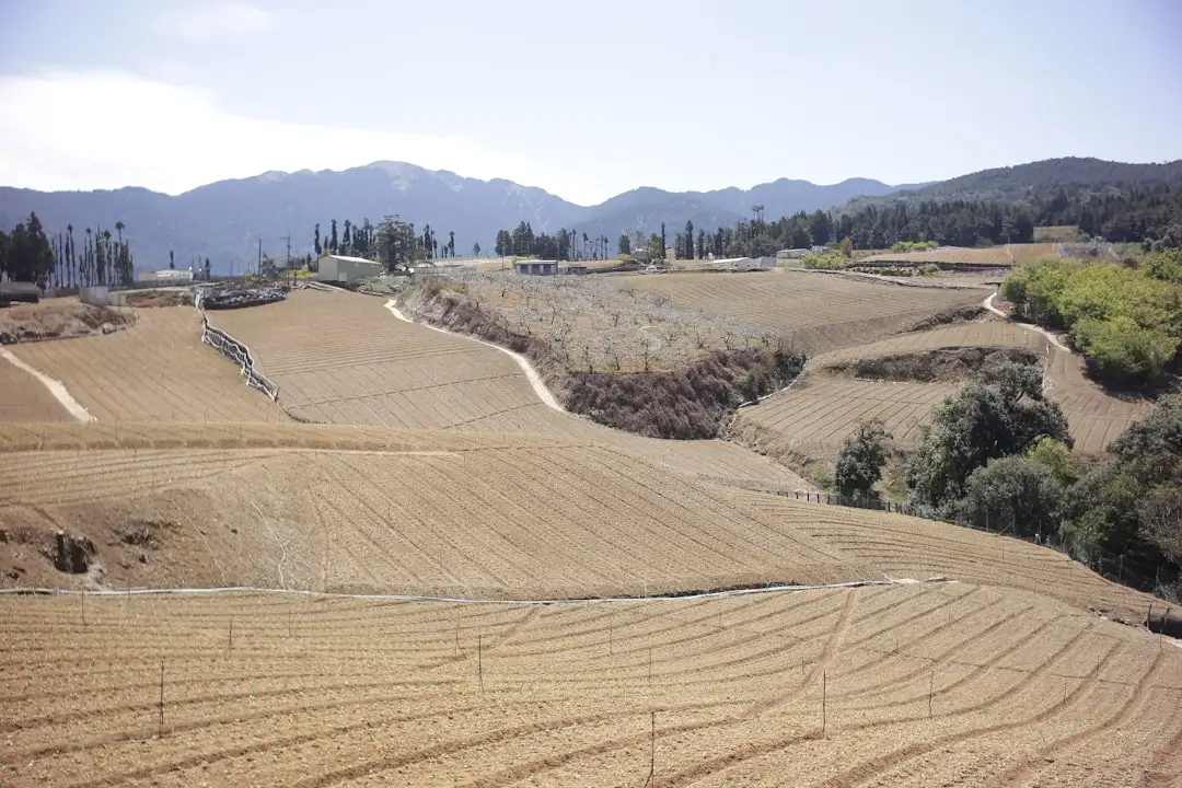 广州羽林生物技术有限公司解析生物技术在护肤品研发中的核心应用