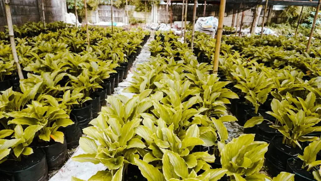 生物护肤技术最新研发方向与产业化应用前景分析