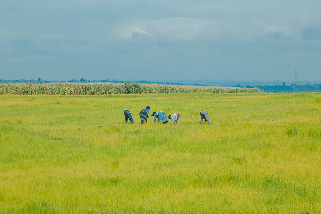 2025年生物技术护肤品行业监管动态与合规要点梳理